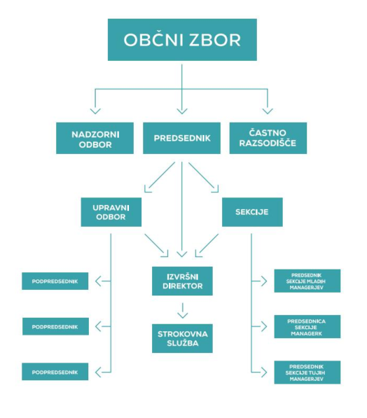 Organi uvod shema knjiga Misli stran 23