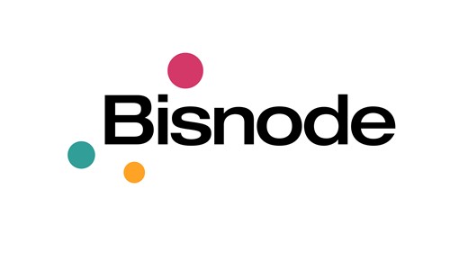 Bisnode 2. nivo