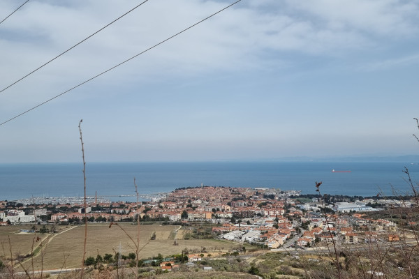 Obljuba s kongresa sadimo drevesa10