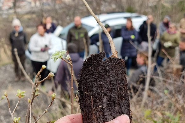 Obljuba s kongresa sadimo drevesa4