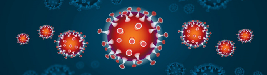 koronavirus2